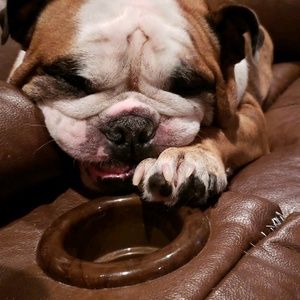 Meet your Posher, Farah